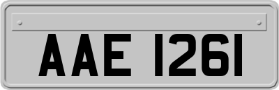 AAE1261