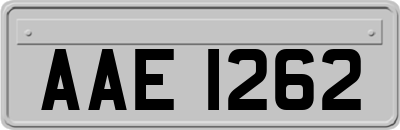 AAE1262