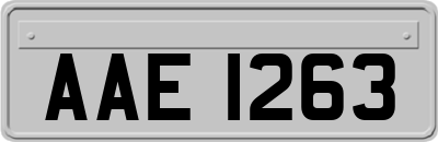 AAE1263