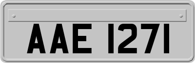 AAE1271