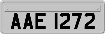 AAE1272