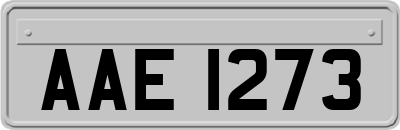 AAE1273