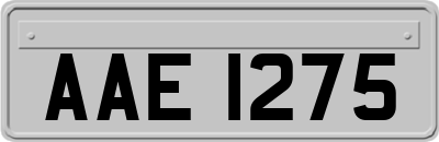 AAE1275