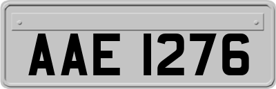 AAE1276