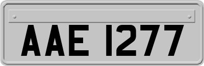 AAE1277