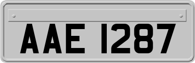 AAE1287