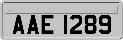 AAE1289