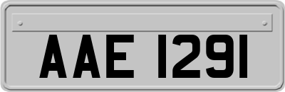 AAE1291