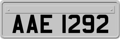 AAE1292