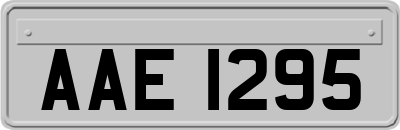 AAE1295