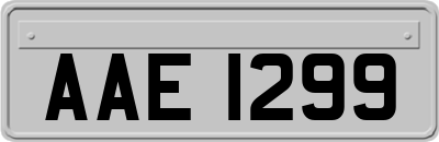 AAE1299