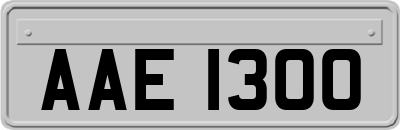 AAE1300