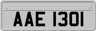 AAE1301