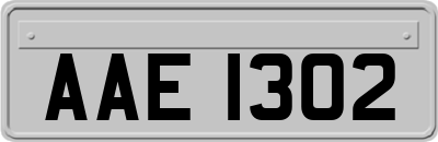 AAE1302