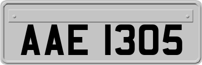 AAE1305