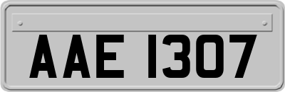 AAE1307