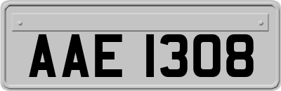 AAE1308