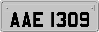 AAE1309