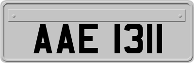 AAE1311