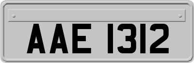 AAE1312