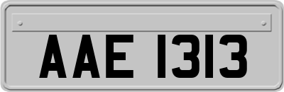 AAE1313