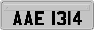 AAE1314