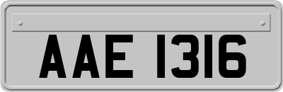 AAE1316