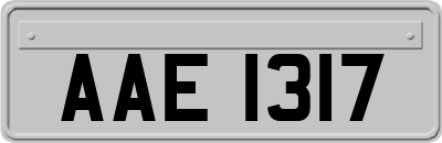 AAE1317