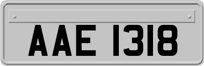 AAE1318