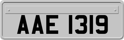 AAE1319