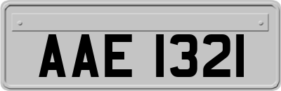 AAE1321