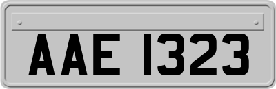 AAE1323