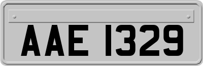 AAE1329