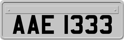 AAE1333