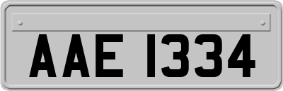 AAE1334