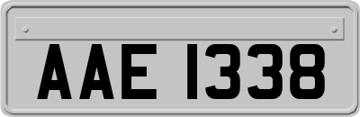 AAE1338