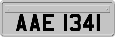 AAE1341