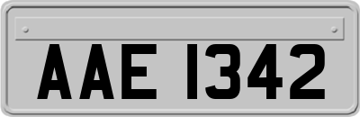 AAE1342