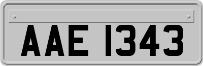 AAE1343