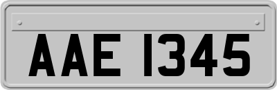 AAE1345