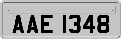 AAE1348