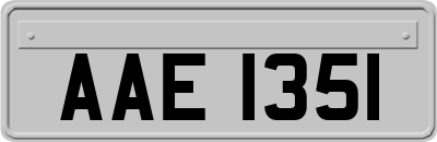 AAE1351