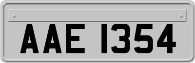 AAE1354