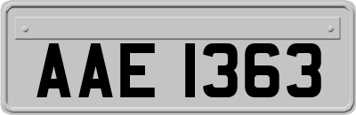 AAE1363