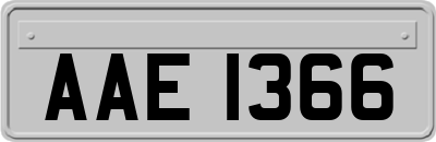 AAE1366