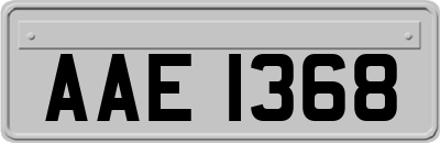 AAE1368