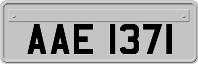 AAE1371