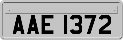 AAE1372