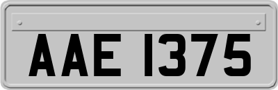 AAE1375