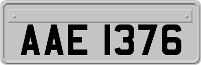 AAE1376